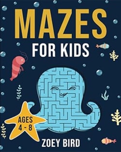 Maze creator book earning $7,848 per month on Amazon KDP